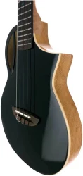 Flight AVIATOR Spruce Tenor BK CE в Москве c доставкой