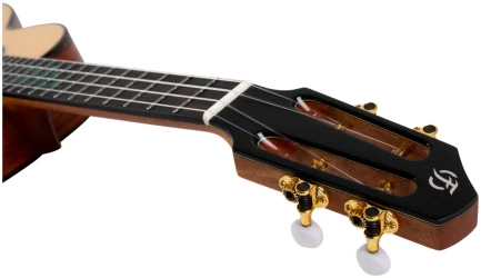 Flight A10 SC Cocobolo Dragon в Москве c доставкой