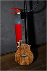 Flight AVIATOR Mango Baritone CE в Москве c доставкой