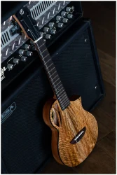 Flight AVIATOR Mango Baritone CE в Москве c доставкой