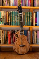 Flight AVIATOR Mango Baritone CE в Москве c доставкой