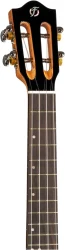 Flight IRIS Baritone BK в Москве c доставкой