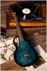 Flight AVIATOR QM Baritone CE в Москве c доставкой