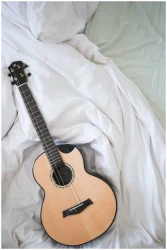 Flight AURORA BARITONE EQ-A в Москве c доставкой
