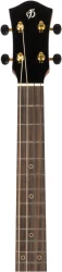 Flight AURORA BARITONE EQ-A в Москве c доставкой