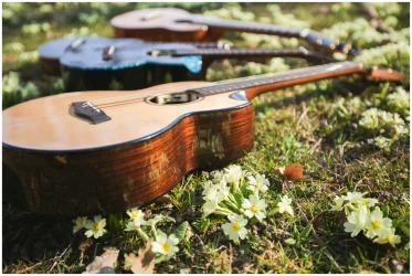Flight AURORA BARITONE EQ-A в Москве c доставкой