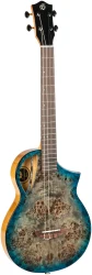 Flight AVIATOR Galaxy Baritone BL CE в Москве c доставкой