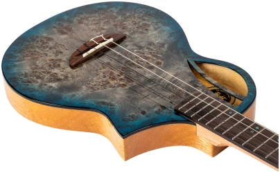 Flight AVIATOR Galaxy Baritone BL CE в Москве c доставкой