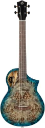 Flight AVIATOR Galaxy Baritone BL CE в Москве c доставкой