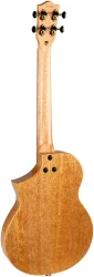 Flight AVIATOR Galaxy Baritone BR CE в Москве c доставкой