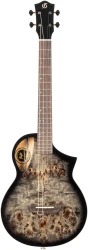 Flight AVIATOR Galaxy Baritone BR CE в Москве c доставкой