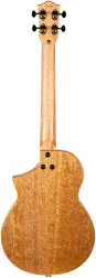 Flight AVIATOR Galaxy Baritone BR CE в Москве c доставкой