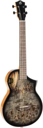 Flight AVIATOR Galaxy Baritone BR CE в Москве c доставкой