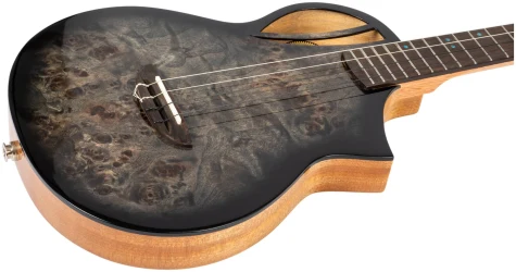 Flight AVIATOR Galaxy Baritone BR CE в Москве c доставкой