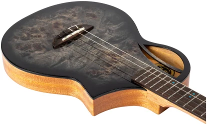 Flight AVIATOR Galaxy Baritone BR CE в Москве c доставкой