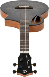 Flight AVIATOR Galaxy Baritone BR CE в Москве c доставкой