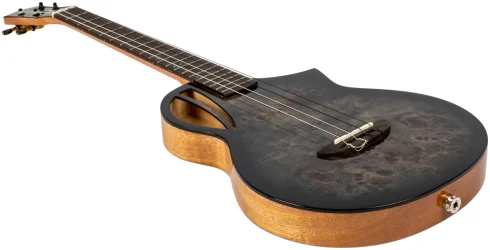 Flight AVIATOR Galaxy Baritone BR CE в Москве c доставкой