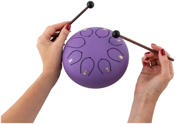 Bee DF1101 PURPLE в Москве c доставкой