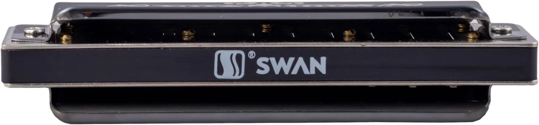 Swan SW1020H-BK в Москве c доставкой