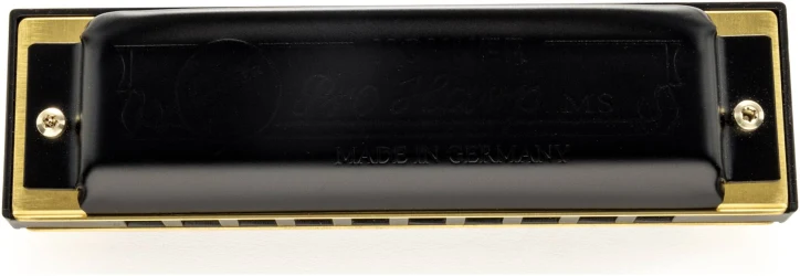 Hohner Pro Harp C-major в Москве c доставкой