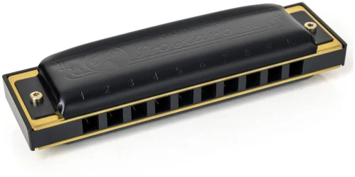 Hohner Pro Harp C-major в Москве c доставкой