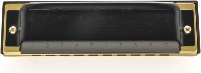 Hohner Pro Harp C-major в Москве c доставкой