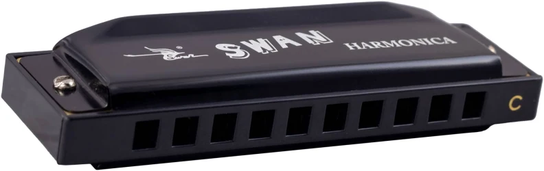 Swan SW1020-3-BK в Москве c доставкой