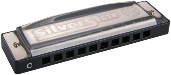 Hohner Silver Star 504/20 Small box G в Москве c доставкой