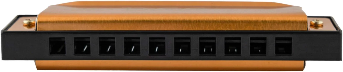 Bee DF10A-1 GOLD в Москве c доставкой