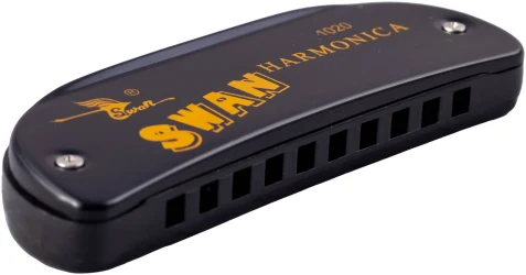 Swan SW1020-16 BK в Москве c доставкой