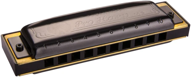Hohner Pro Harp 562/20 MS C в Москве c доставкой