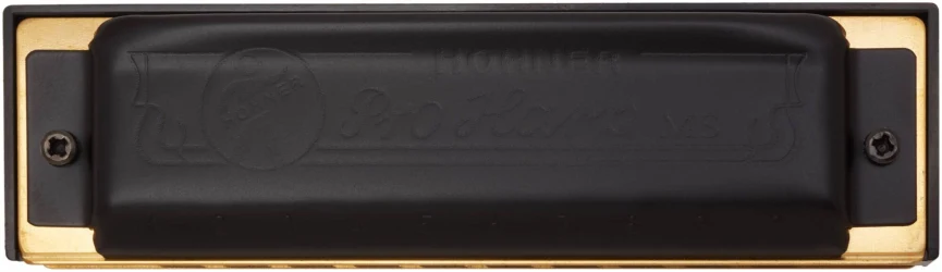 Hohner Pro Harp 562/20 MS C в Москве c доставкой