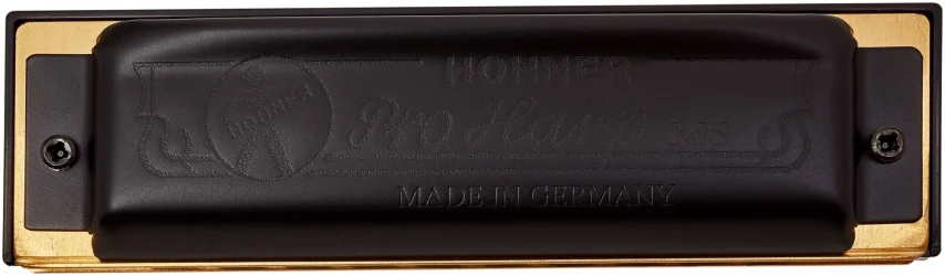 Hohner Pro Harp 562/20 MS C в Москве c доставкой