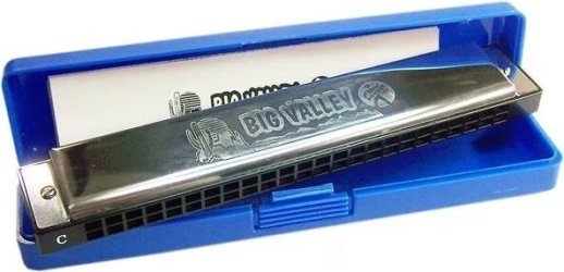 Hohner Big Valley 2550/48 C в Москве c доставкой