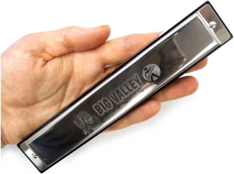 Hohner Big Valley 2550/48 C в Москве c доставкой