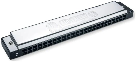 Hohner Big Valley 2550/48 C в Москве c доставкой