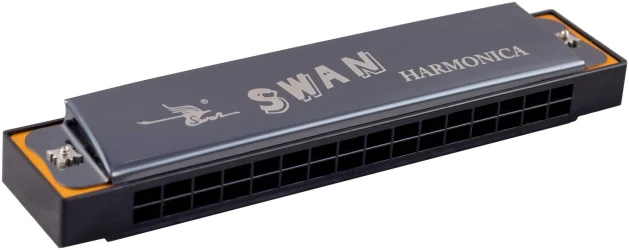 Swan SW16-1-BK в Москве c доставкой