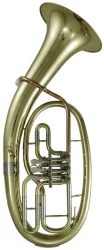 Roy Benson TH-202 в Москве c доставкой