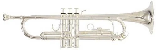 Roy Benson TR-202 S в Москве c доставкой