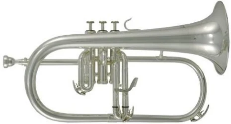 Roy Benson FH-302 S в Москве c доставкой