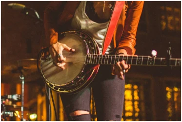 Lr Baggs Banjo в Москве c доставкой