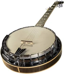 Lr Baggs Banjo в Москве c доставкой
