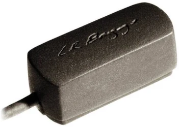Lr Baggs Radius-M в Москве c доставкой