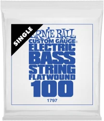 Ernie Ball 1797 Flatwound 0.1 в Москве c доставкой