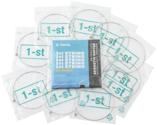 Terris SA-CSXL-1 /10 в Москве c доставкой