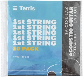 Terris SA-CSXL-1 /10 в Москве c доставкой