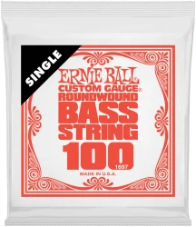 Ernie Ball 1697 Nickel Wound 0.1 в Москве c доставкой