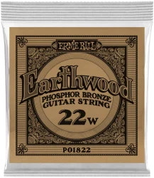 Ernie Ball 1822 Earthwood Phosphor Bronze 0.022 в Москве c доставкой