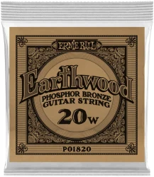 Ernie Ball 1820 Earthwood Phosphor Bronze 0.02 в Москве c доставкой