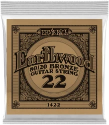 Ernie Ball 1422 Earthwood 80/20 0.022 в Москве c доставкой